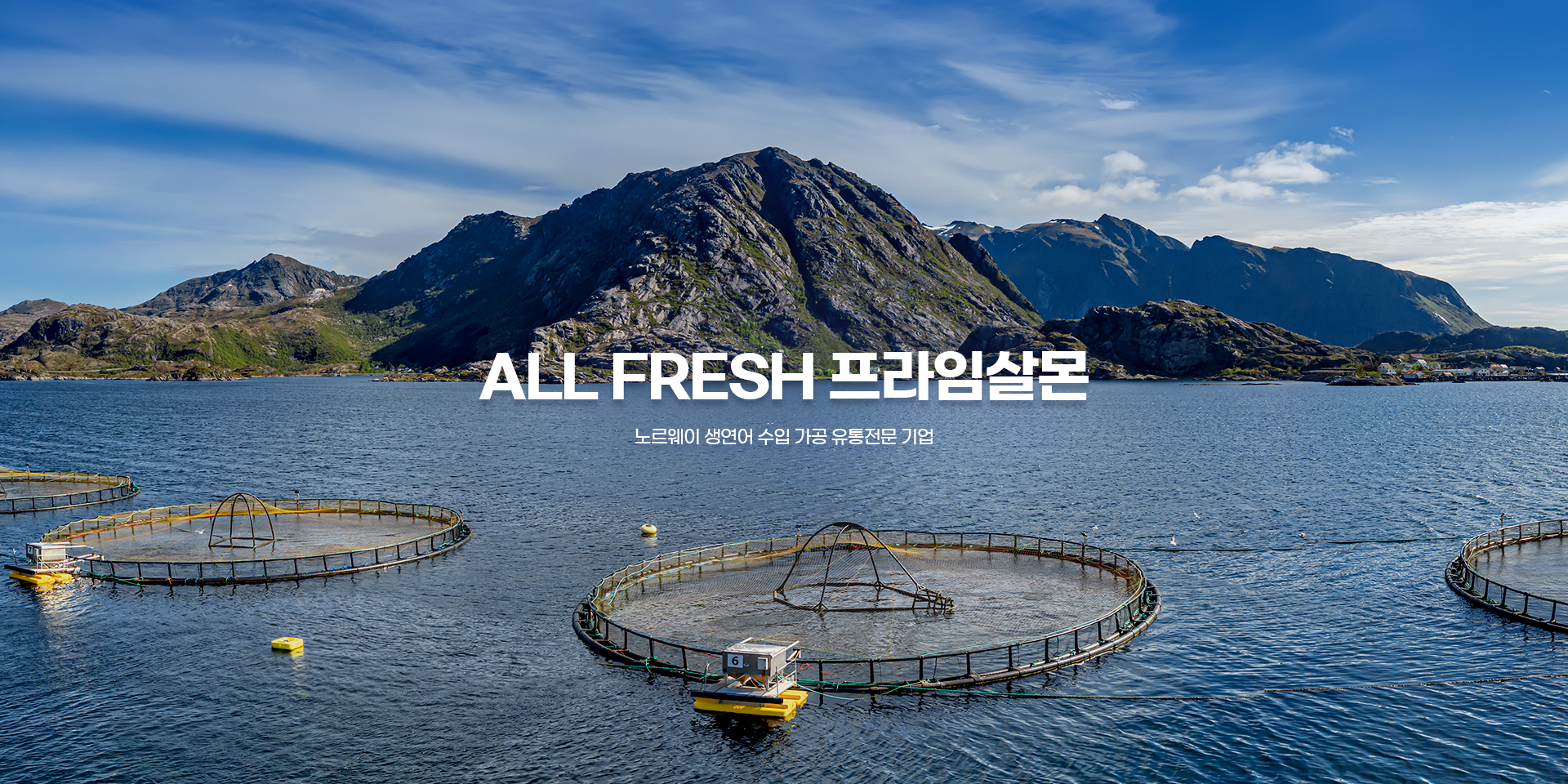 기본 메인 비주얼 배너